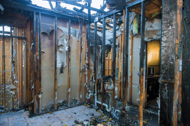 Professional Soot Cleanup technician working in Wayne, OH