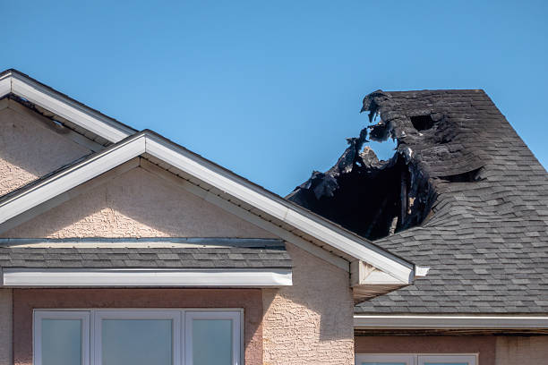 Top rated local Soot Cleanup specialists in Wayne, OH
